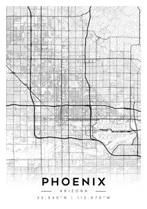 Phoenix portrait A Series