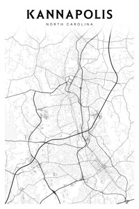 Kannapolis portrait 2 3