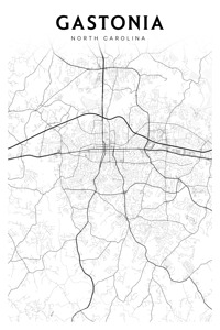 Gastonia portrait 2 3