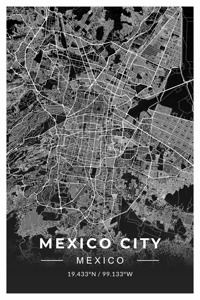 portrait 2 3 mexico city by CityMapsArt