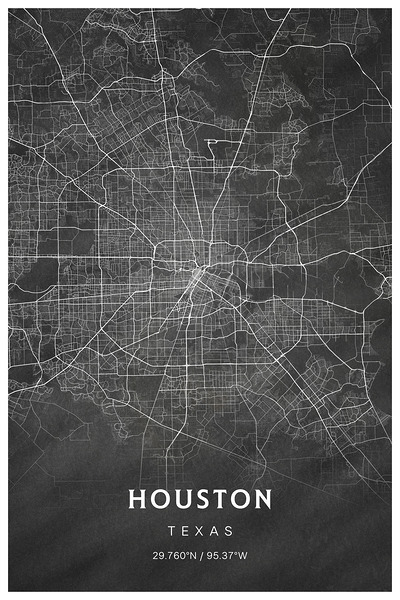 portrait 2 3 houston Print