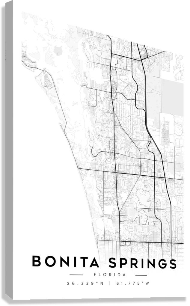 BonitaSprings portrait A Series Canvas Print