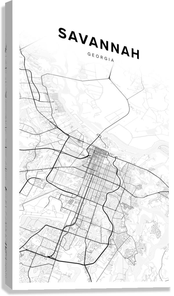 Savannah portrait 2 3 Canvas Print