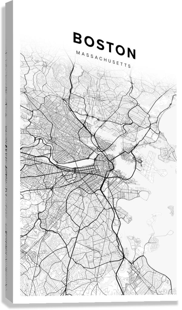 Boston portrait 2 3 Canvas Print