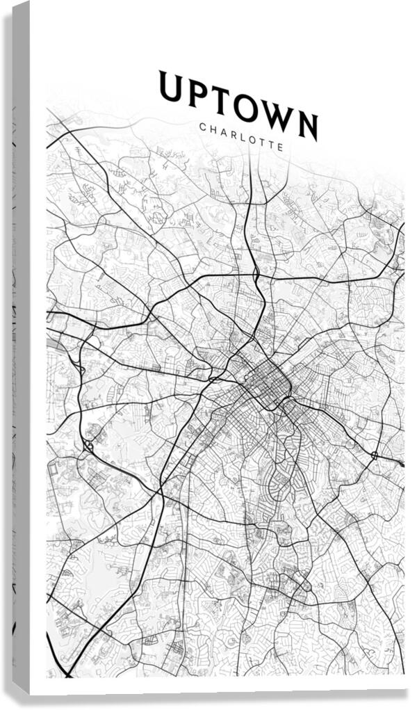 Uptown portrait 2 3 Canvas Print