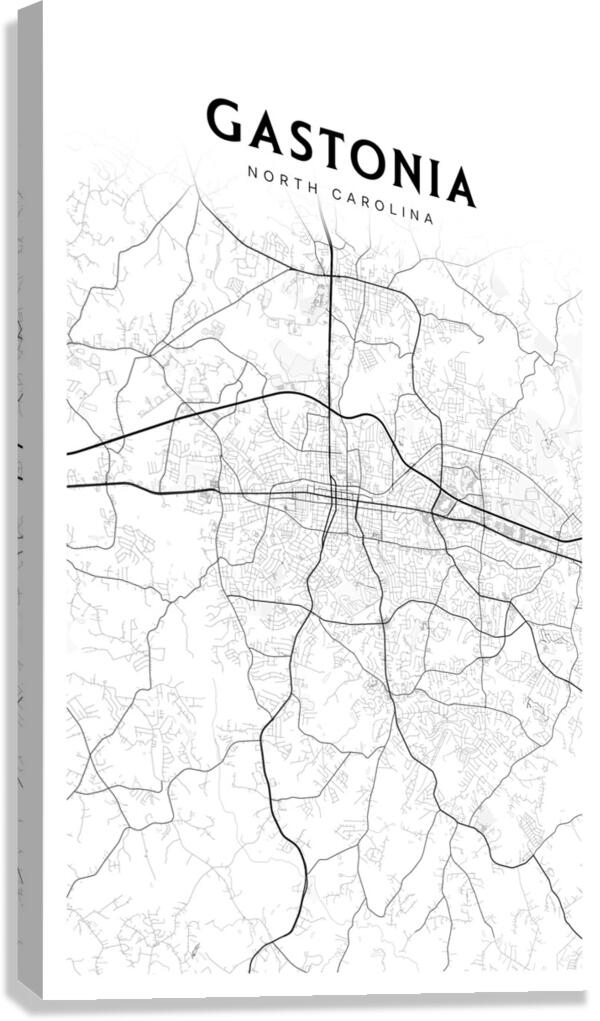 Gastonia portrait 2 3 Canvas Print