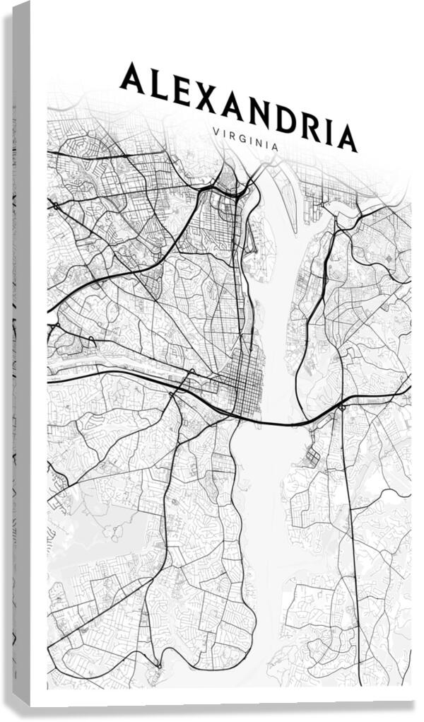 Alexandria portrait 2 3 Canvas Print