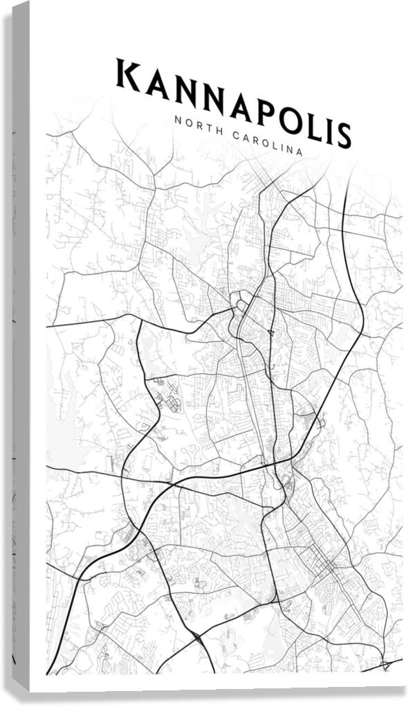 Kannapolis portrait 2 3 Canvas Print