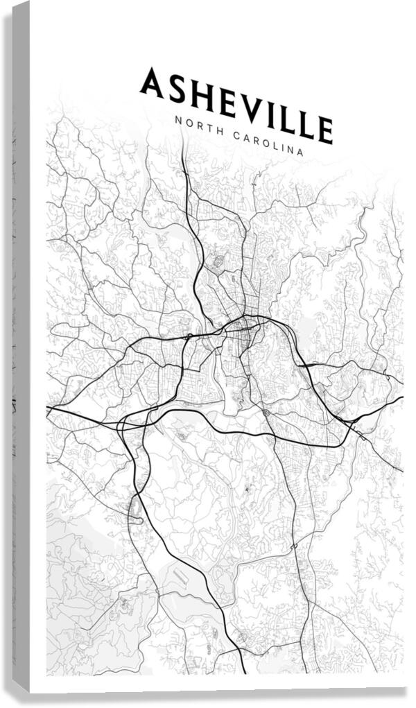 Asheville portrait 2 3 Canvas Print