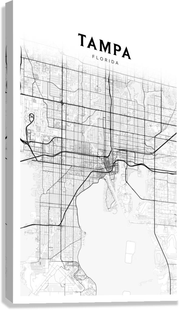 Tampa portrait 2 3 Canvas Print