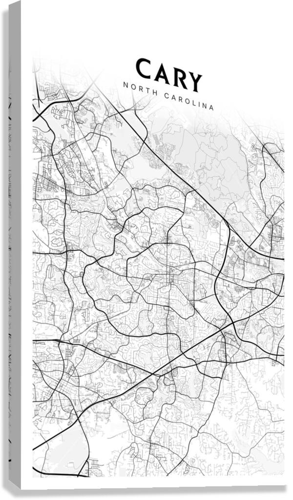 Cary portrait 2 3 Canvas Print