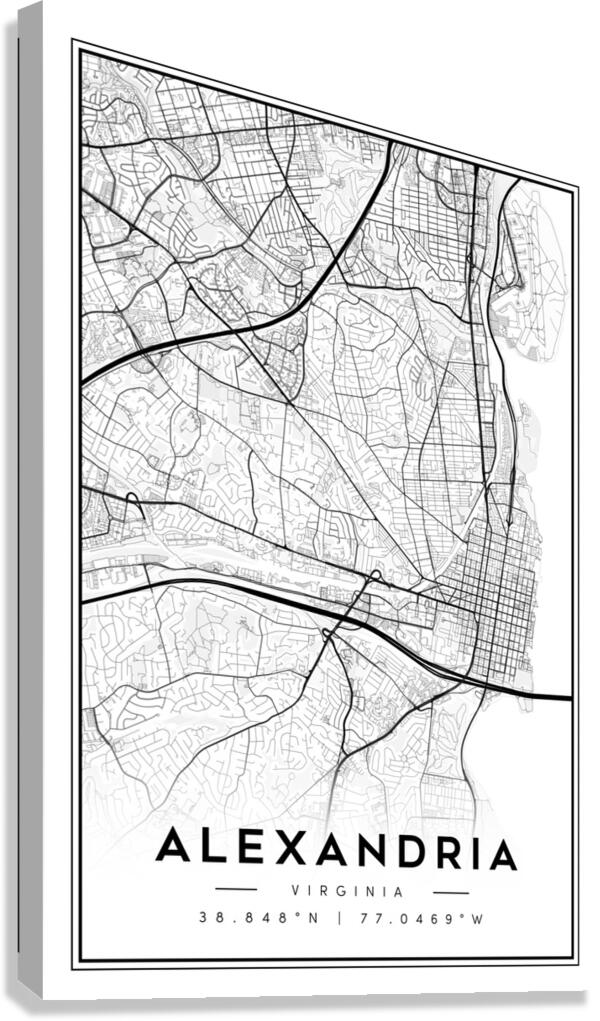 Alexandria portrait 2 3 Canvas Print