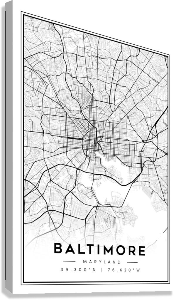 Baltimore portrait 2 3 Canvas Print