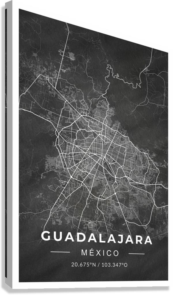 portrait 2 3 Guadalajara Canvas Print