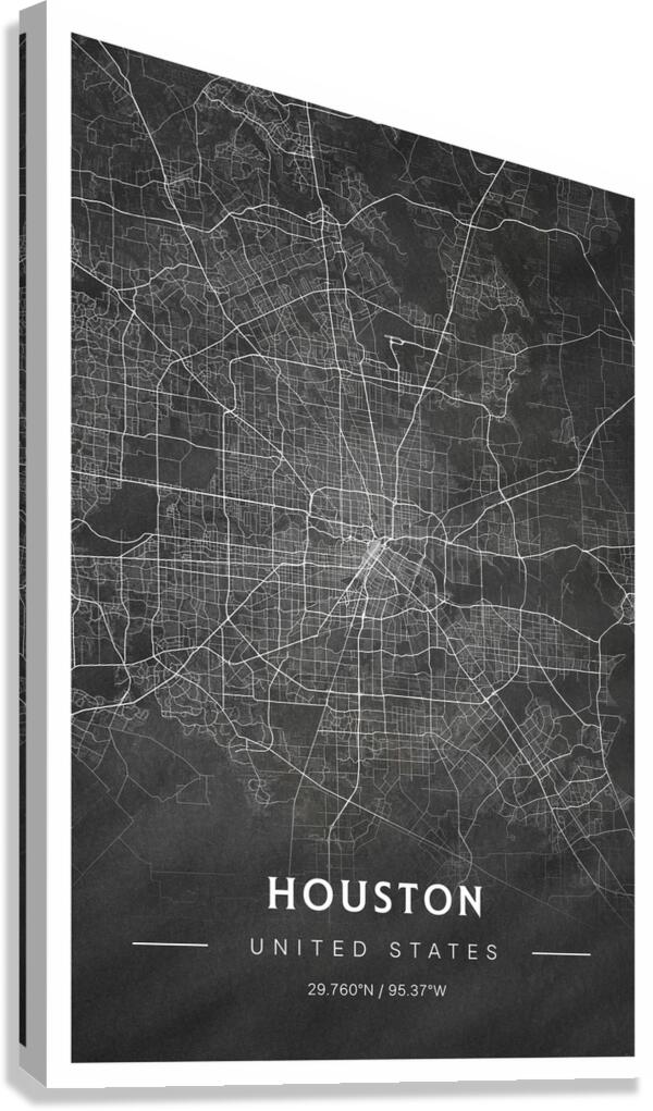 portrait 2 3 Houston Canvas Print