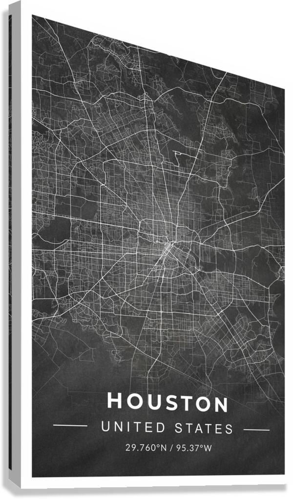 portrait 2 3 Houston Canvas Print