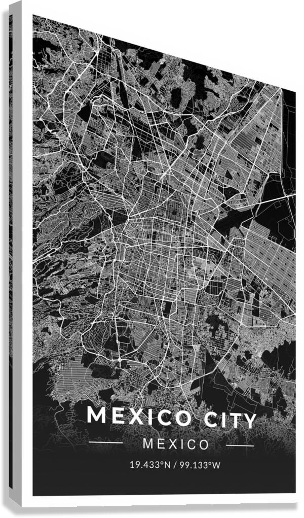 portrait 2 3 mexico city Canvas Print