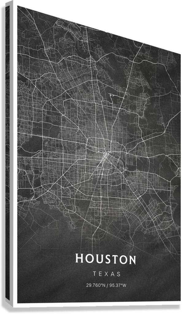 portrait 2 3 houston Canvas Print
