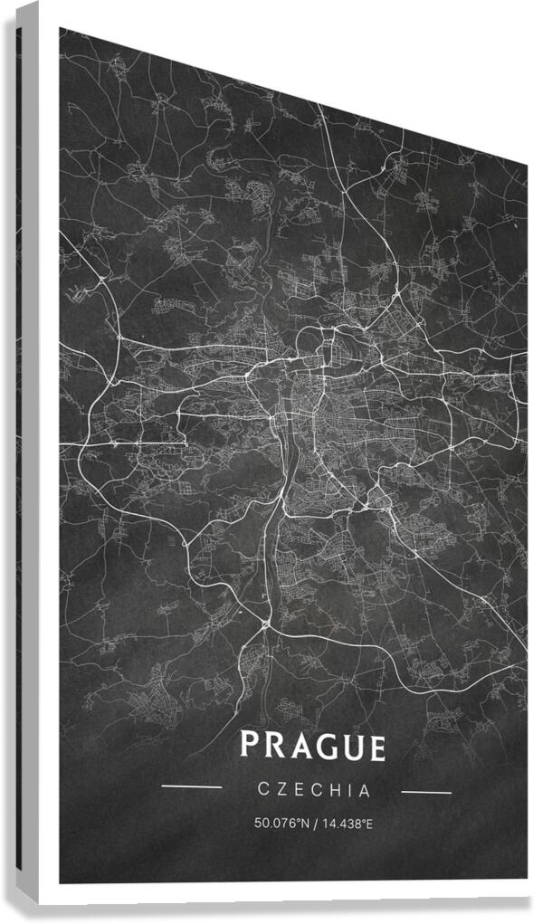 portrait 2 3 Prague Canvas Print