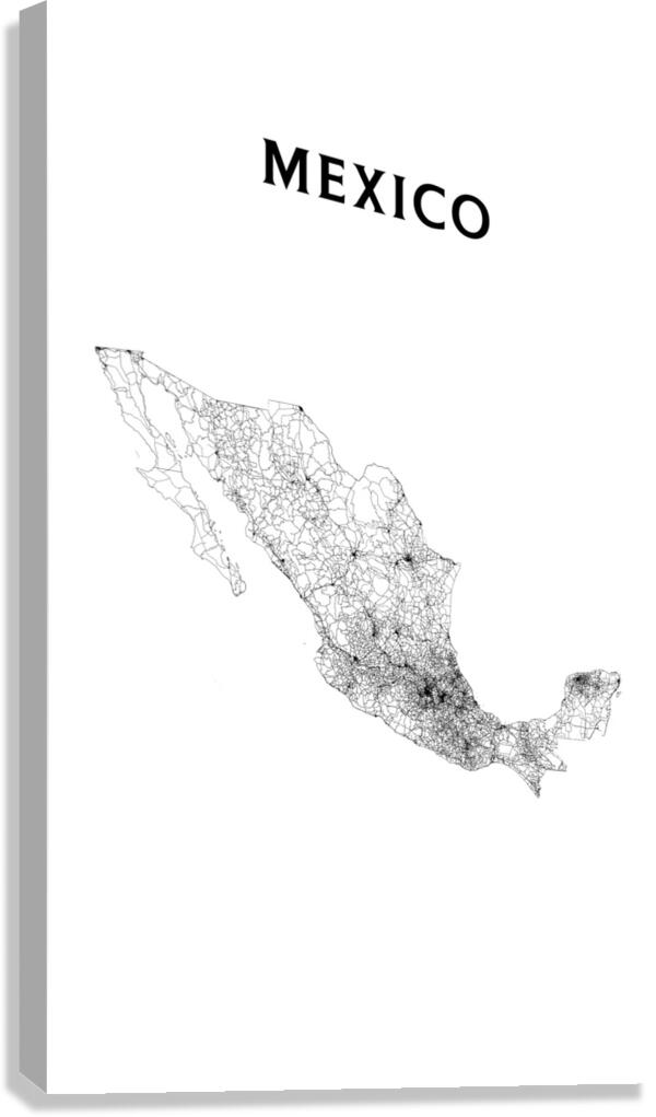 portrait 2 3 mexico Canvas Print