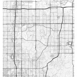 Phoenix portrait 2 3