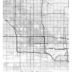 Phoenix portrait A Series