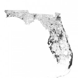 portrait 2 3 Florida