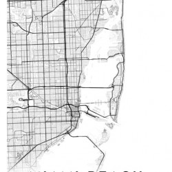 MiamiBeach portrait A Series