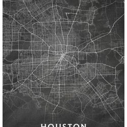 portrait 2 3 houston