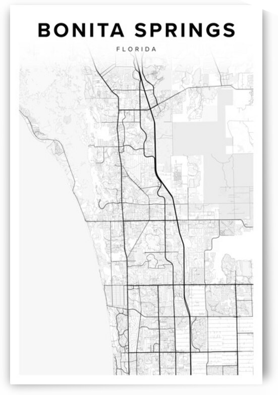 BonitaSprings portrait 2 3 by CityMapsArt