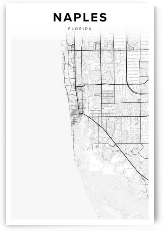 Naples portrait 2 3 by CityMapsArt