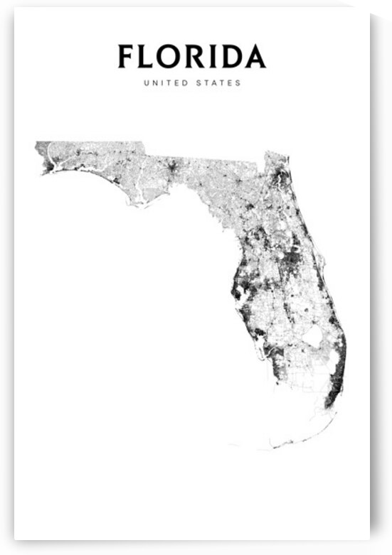 portrait 2 3 Florida by CityMapsArt