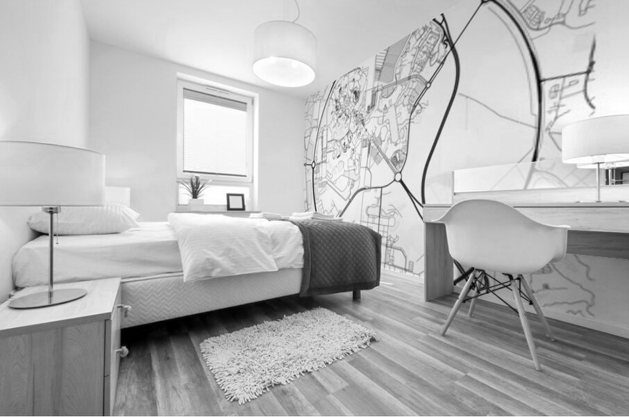 Disneyland portrait 2 3 Mural print