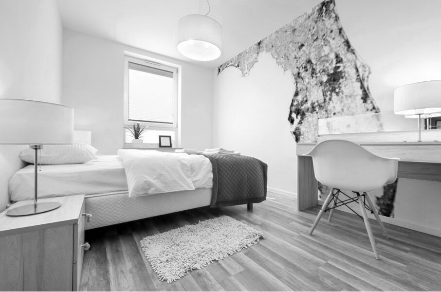 portrait 2 3 Florida Mural print