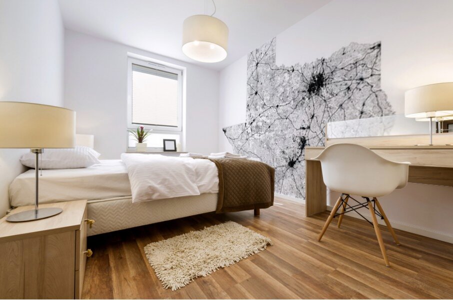 portrait 2 3 texas Mural print