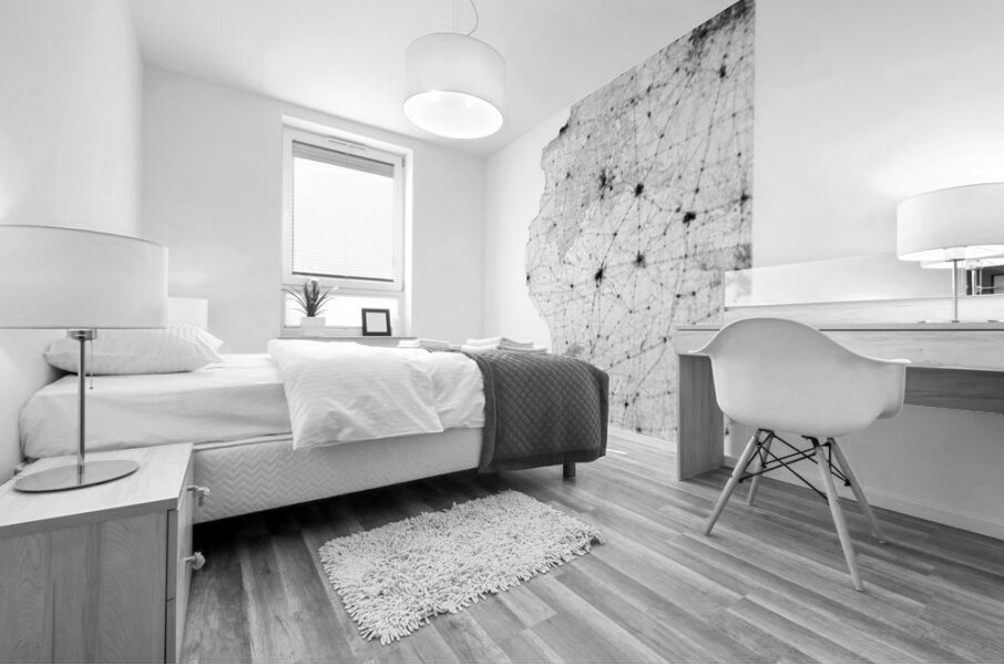 portrait 2 3 Illinois Mural print