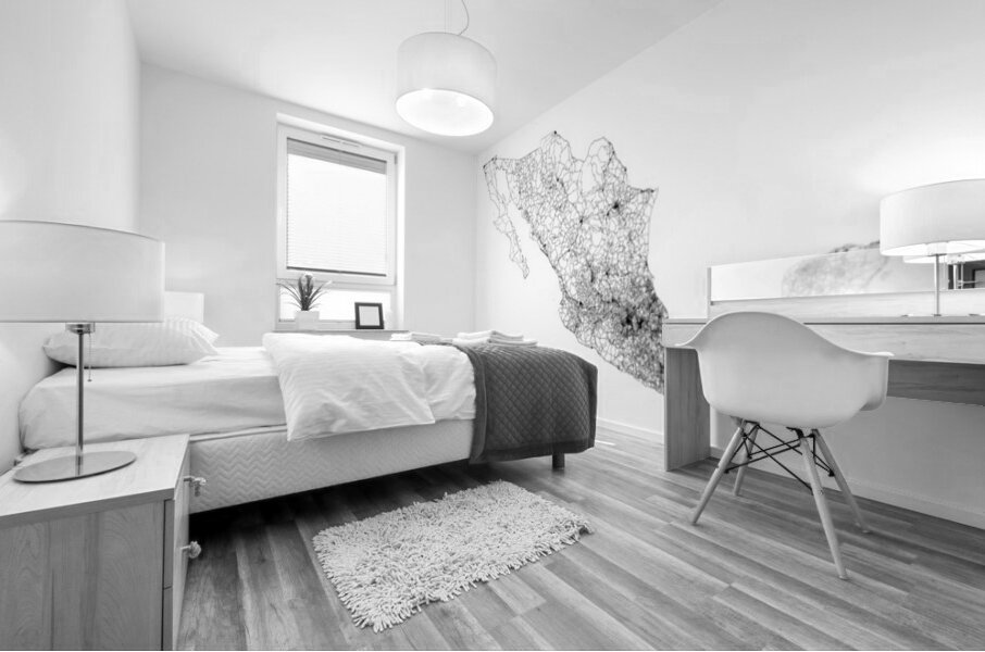 portrait 2 3 mexico Mural print