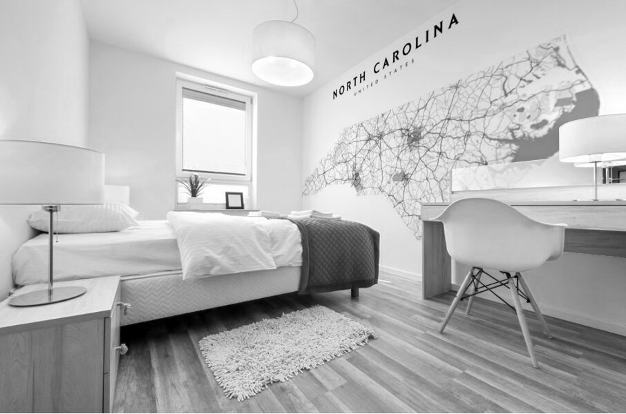 landscape 3 2 north carolina Mural print