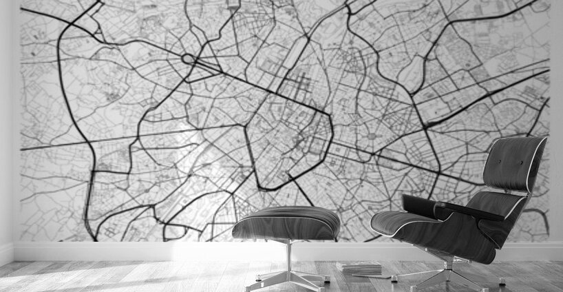 Brussels portrait A Series Wall Murals