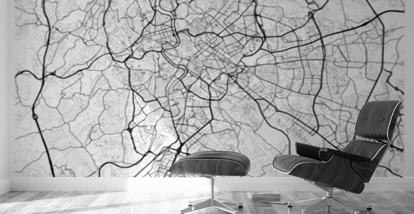 Rome portrait A Series Wall Murals