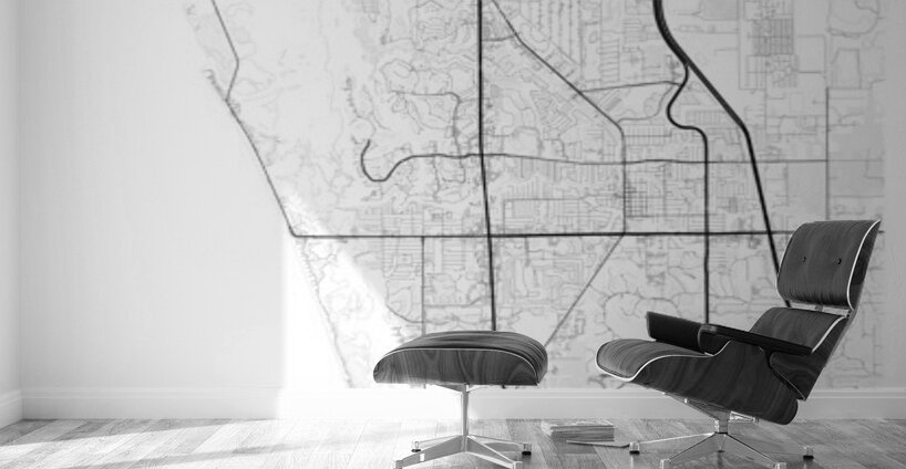 BonitaSprings portrait A Series Wall Murals