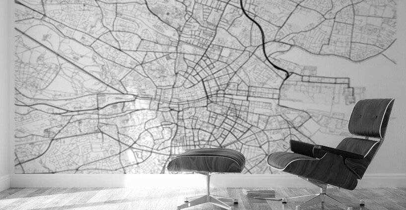 Dublin portrait A Series Wall Murals