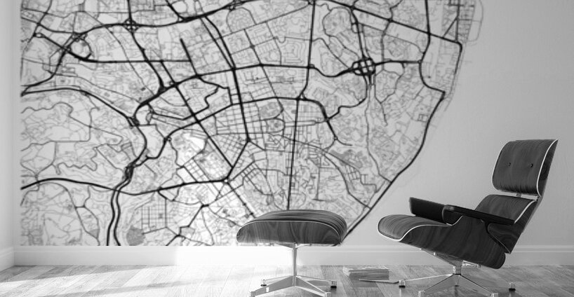 Lisbon portrait A Series Wall Murals