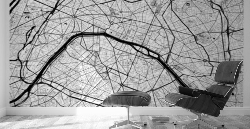 Paris portrait A Series Wall Murals