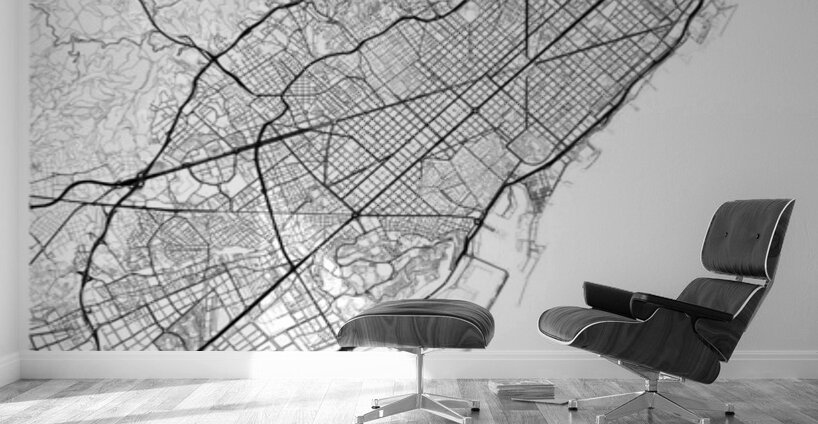 Barcelona portrait A Series Wall Murals