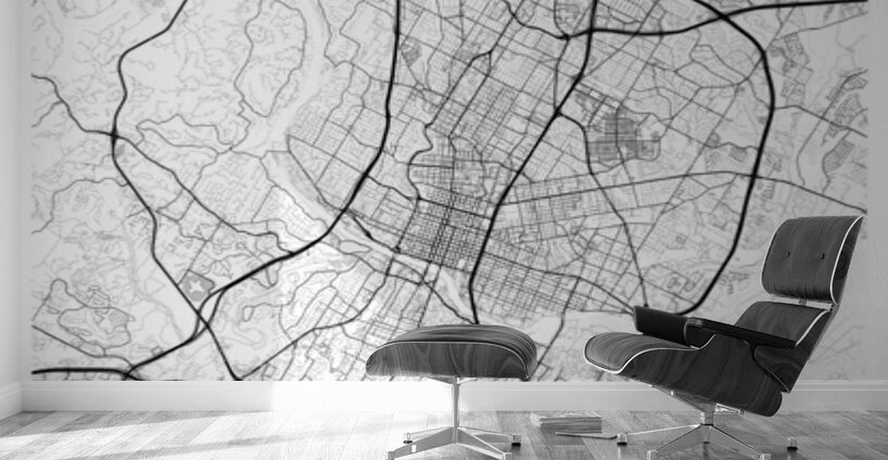 Austin portrait A Series Wall Murals