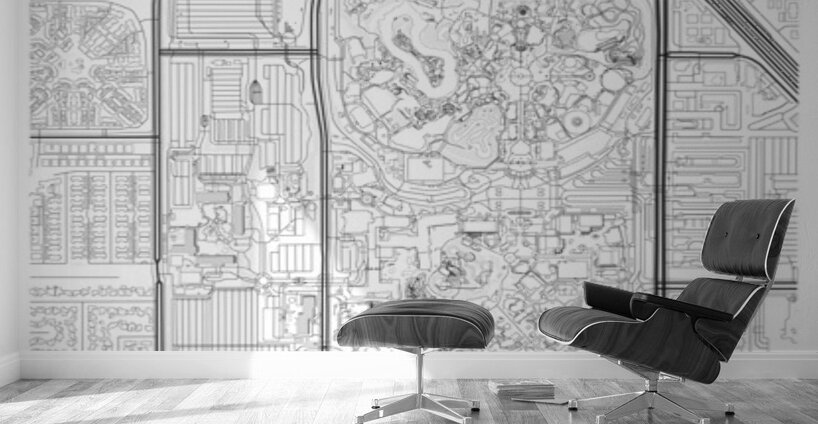 Disneyland portrait A Series Wall Murals