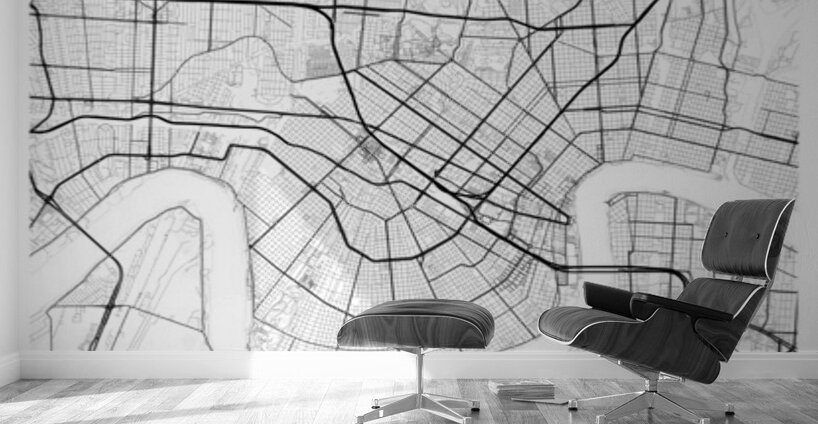 NewOrleans portrait A Series Wall Murals