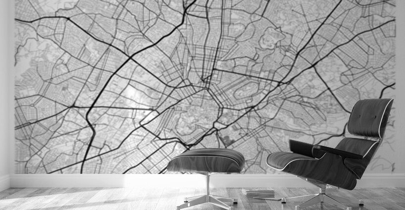 Athens portrait A Series Wall Murals