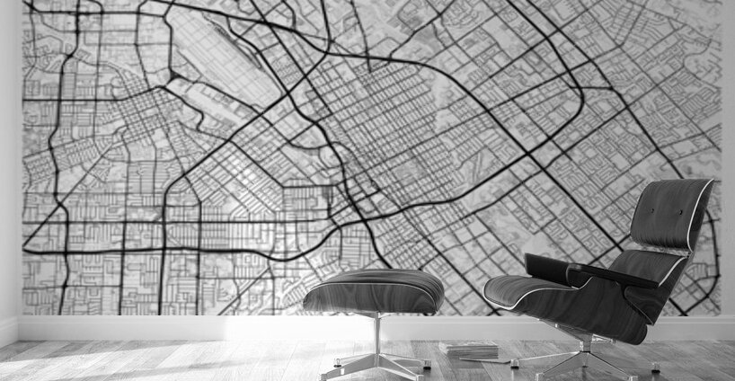 SiliconValley portrait 2 3 Wall Murals